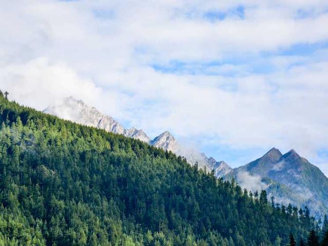 jalon_berge_PjBE