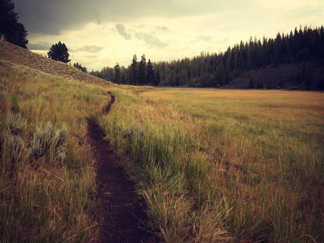 bbuckridge_SNHH