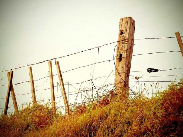 uullrich_i5bo