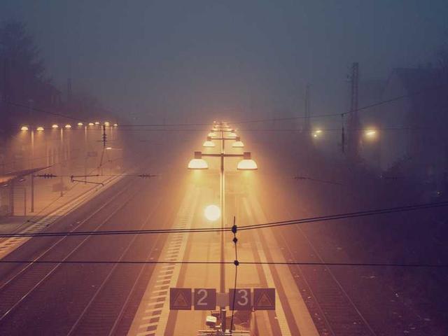 delmer62_Tezi