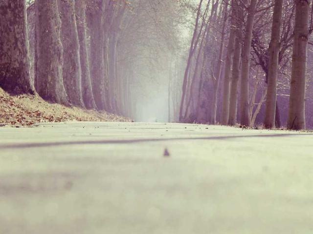 schulist_zackery_9iu4