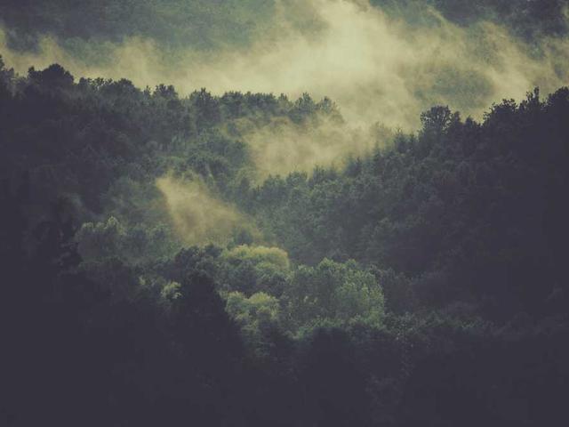 mariano_kuhic_T99Z