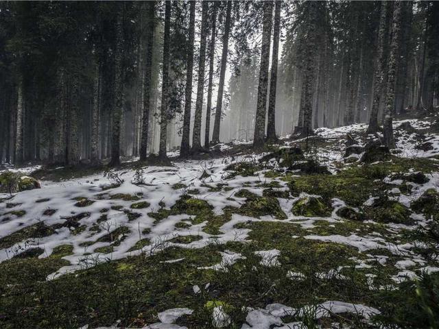 goodwin_laverne_GCwA