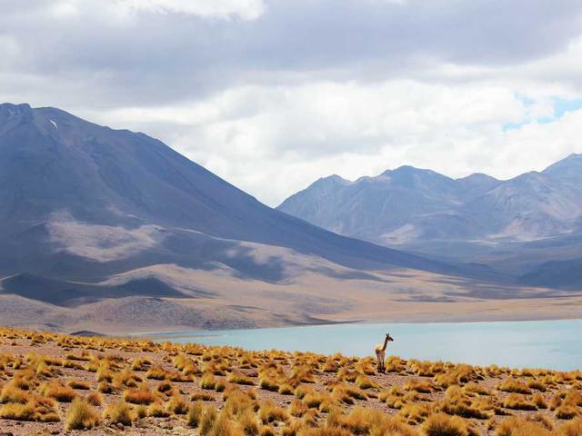 maribel_kuvalis_1LzR