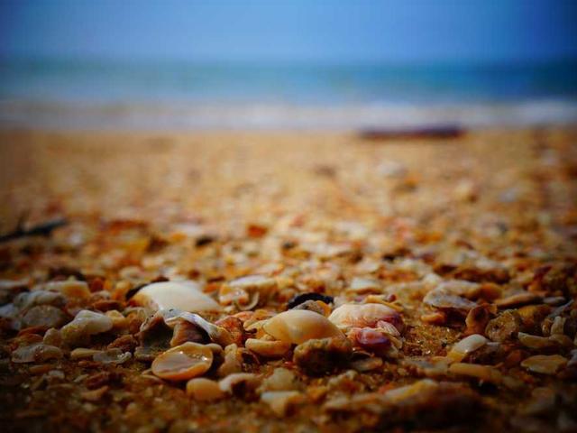 cartwright_marlee_ZUF9