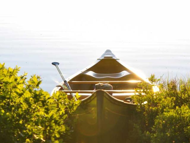 romaguera_mireya_QBV5