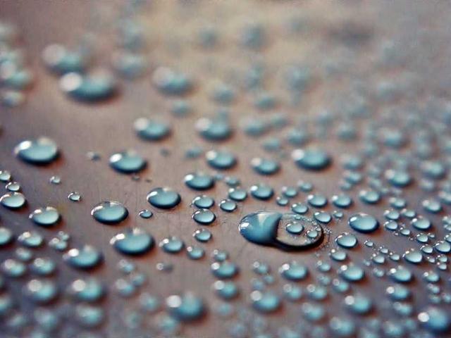 felicita_monahan_c4YZ