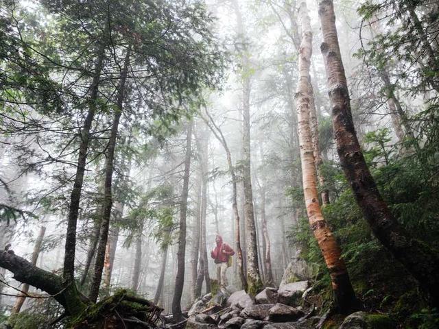 trisha_kshlerin_QPmz