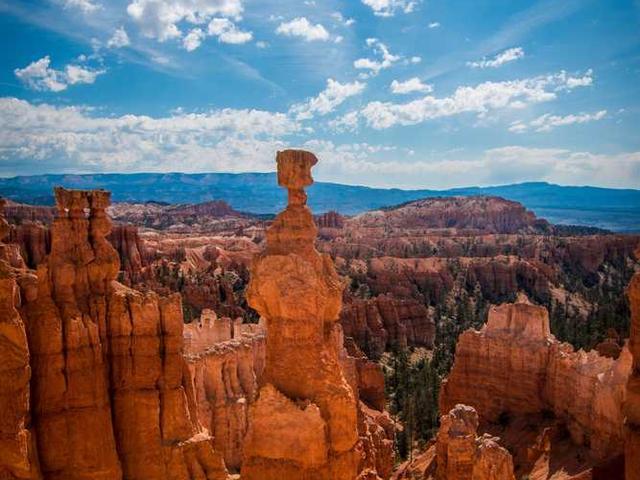 little_lauretta_NKzS