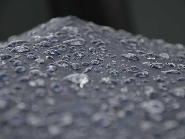 stoltenberg_lillie_InPD