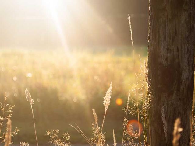 marquise_schaefer_LBTV