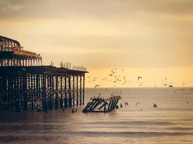 candida_goldner_8VJy