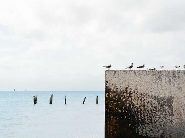 walsh_cornelius_OYbN