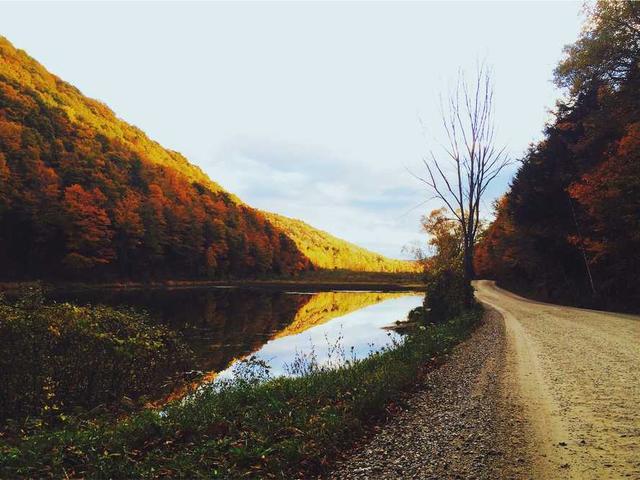 ziemann_gabriella_rTAu