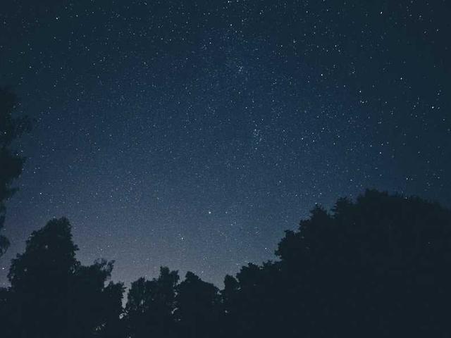 cortez_franecki_luDG