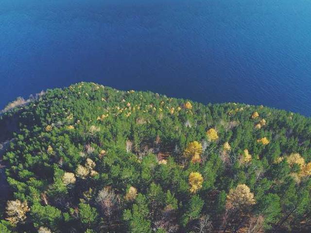 edyth_powlowski_CbSY