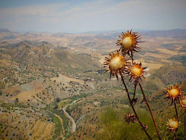 adaline_schaefer_Yqes