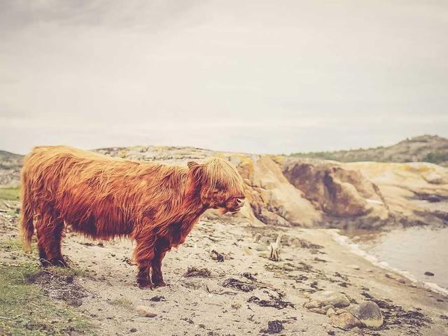 jennyfer_kshlerin_BhO2