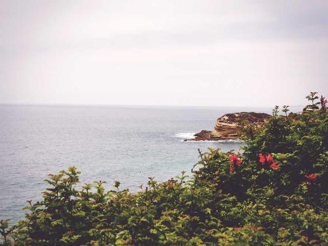 richard_jacques_Nbtu