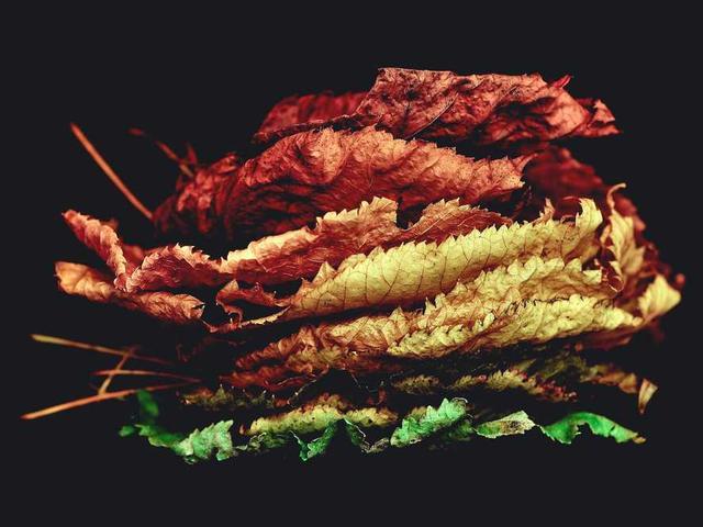 cummerata_elroy_0jha