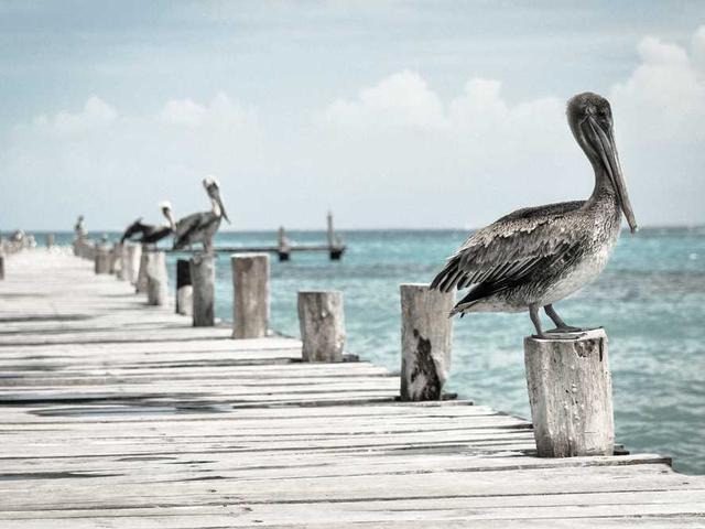 armani_gislason_DtlX