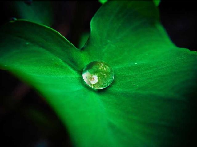 peter_bashirian_ZFsm