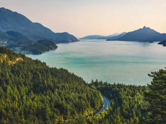 zetta_gulgowski_FEEx