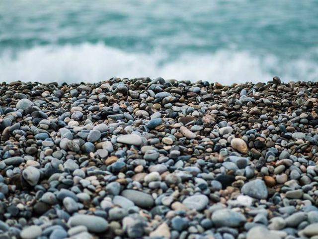 salmon_dorothee_62L9