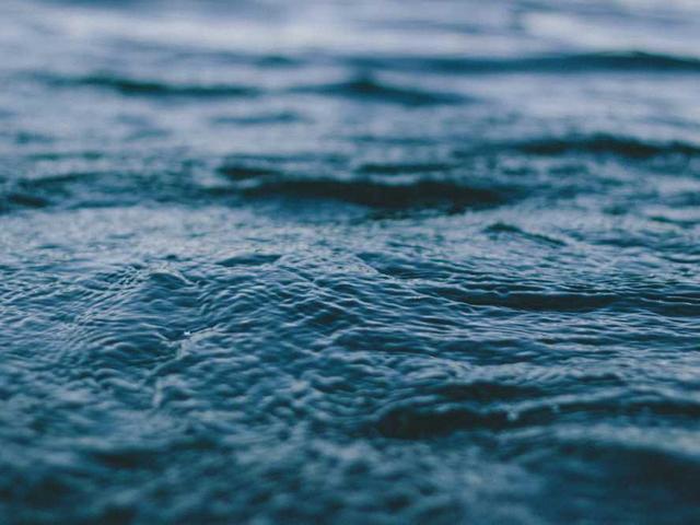 pasquier_philippine_V4gK