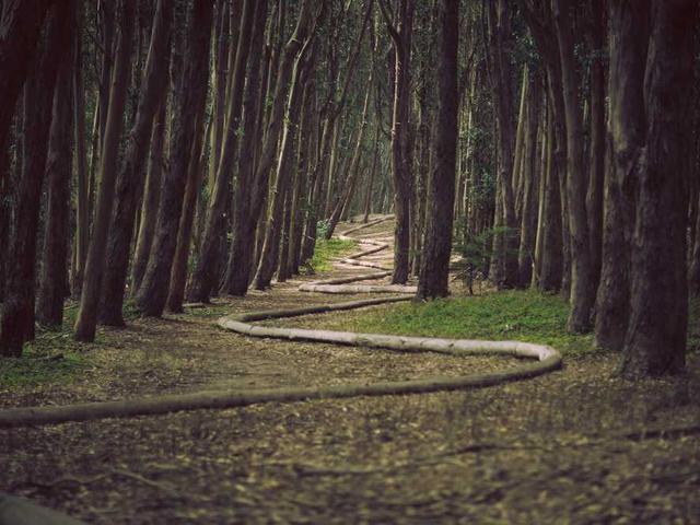 zachariah_schultz_v0f7