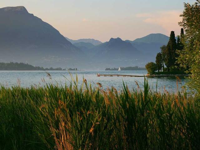 oberbrunner_eda_BNRZ