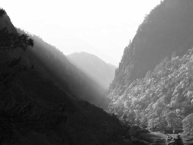 salvador_blanda_FKXA