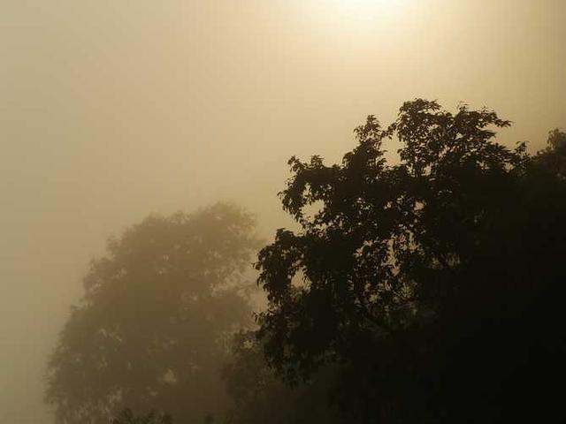 lawrence_klocko_MFUI