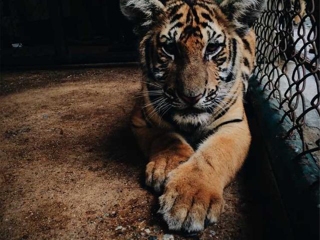 amara_stoltenberg_r1UF