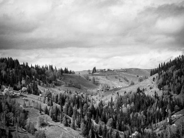 maryjane_mcclure_sK7j