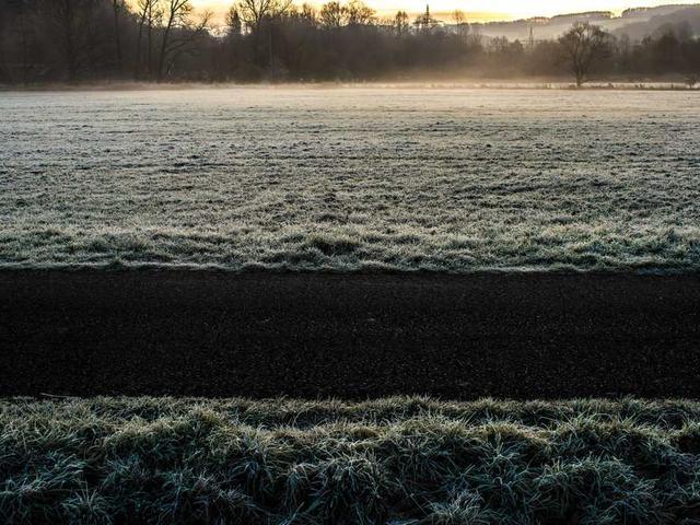 meredith_larson_Xw0H