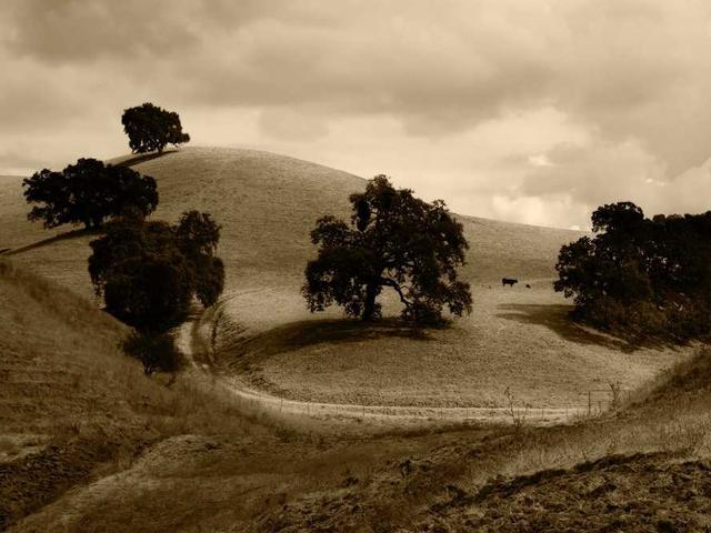 mclaughlin_alycia_17d5