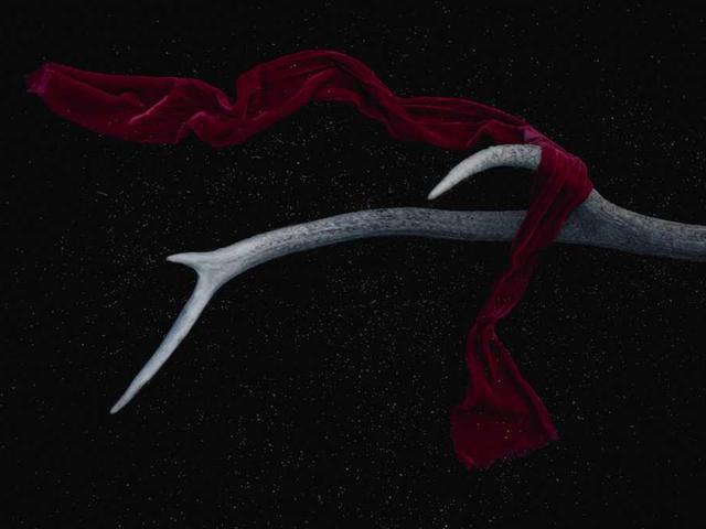 stiedemann_enrico_L3ia